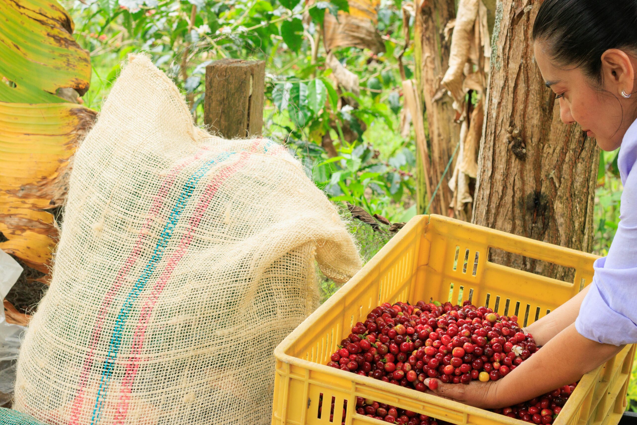 Secure workforce verification in agriculture